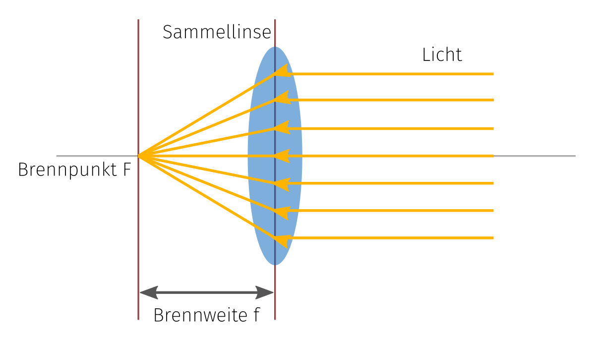 Funktionsweise einer einfachen Sammellinse, Erklärung von Brennweite und Brennpunkt