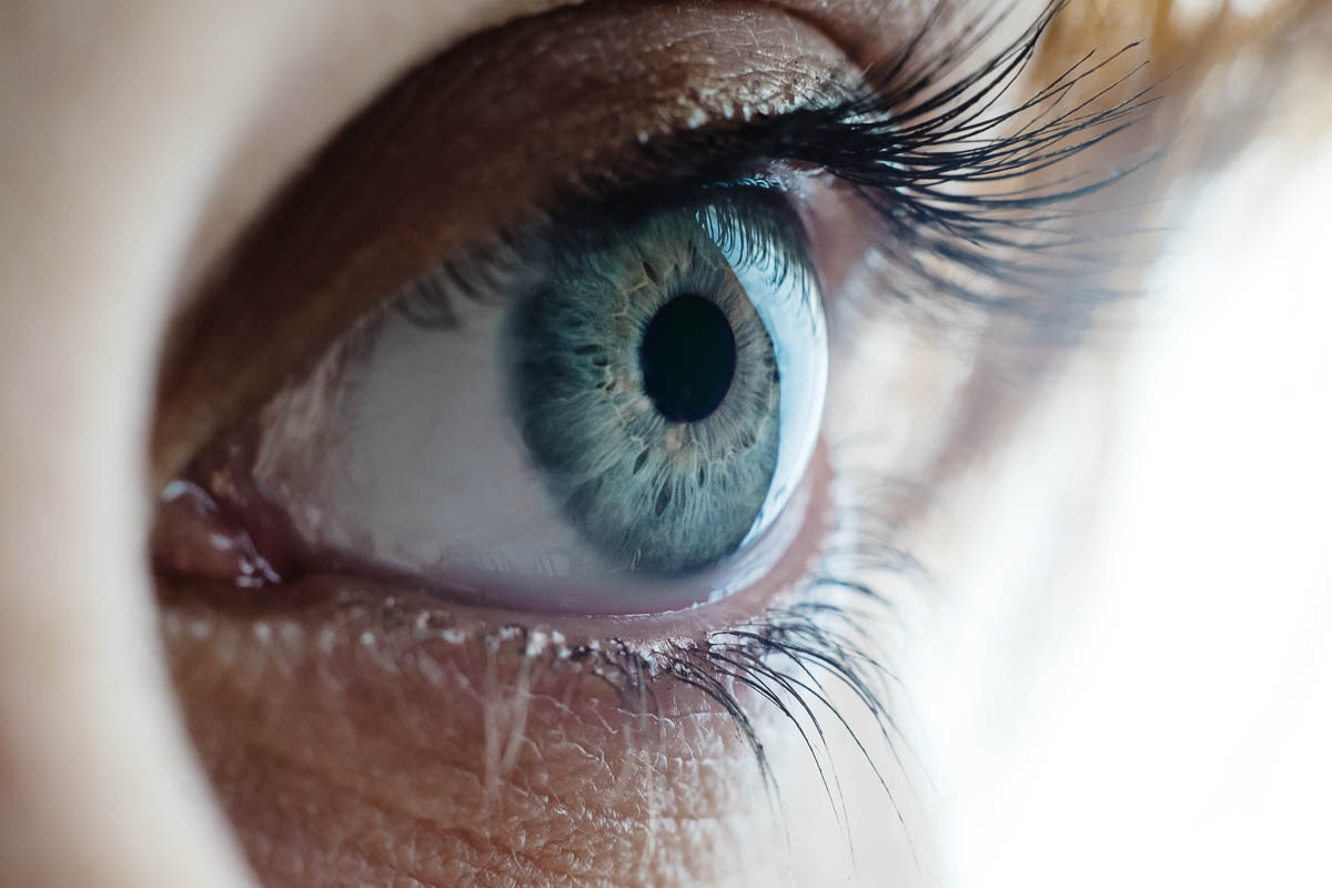 makroaufnahme auge jennifer wettig fotografie
