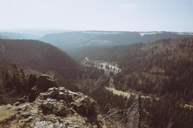 Harz