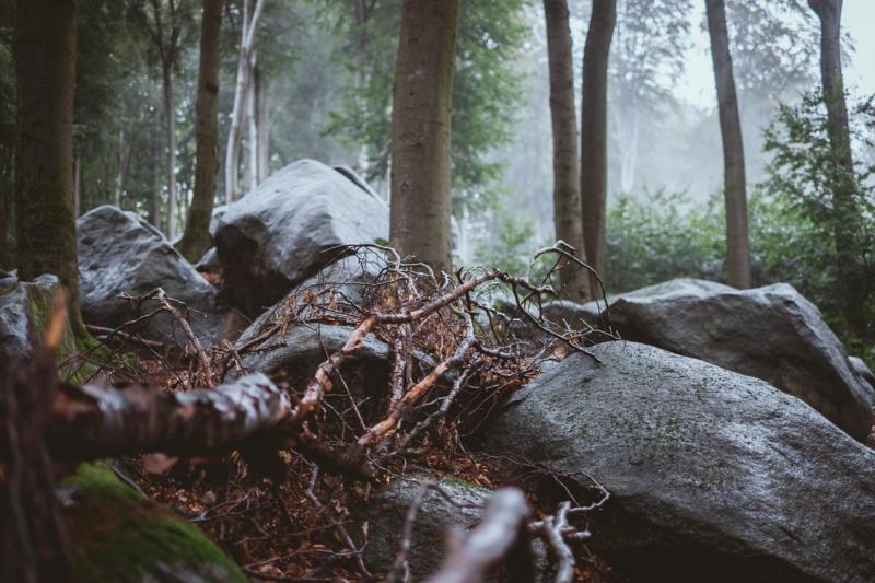 Das Felsenmeer im Odenwald